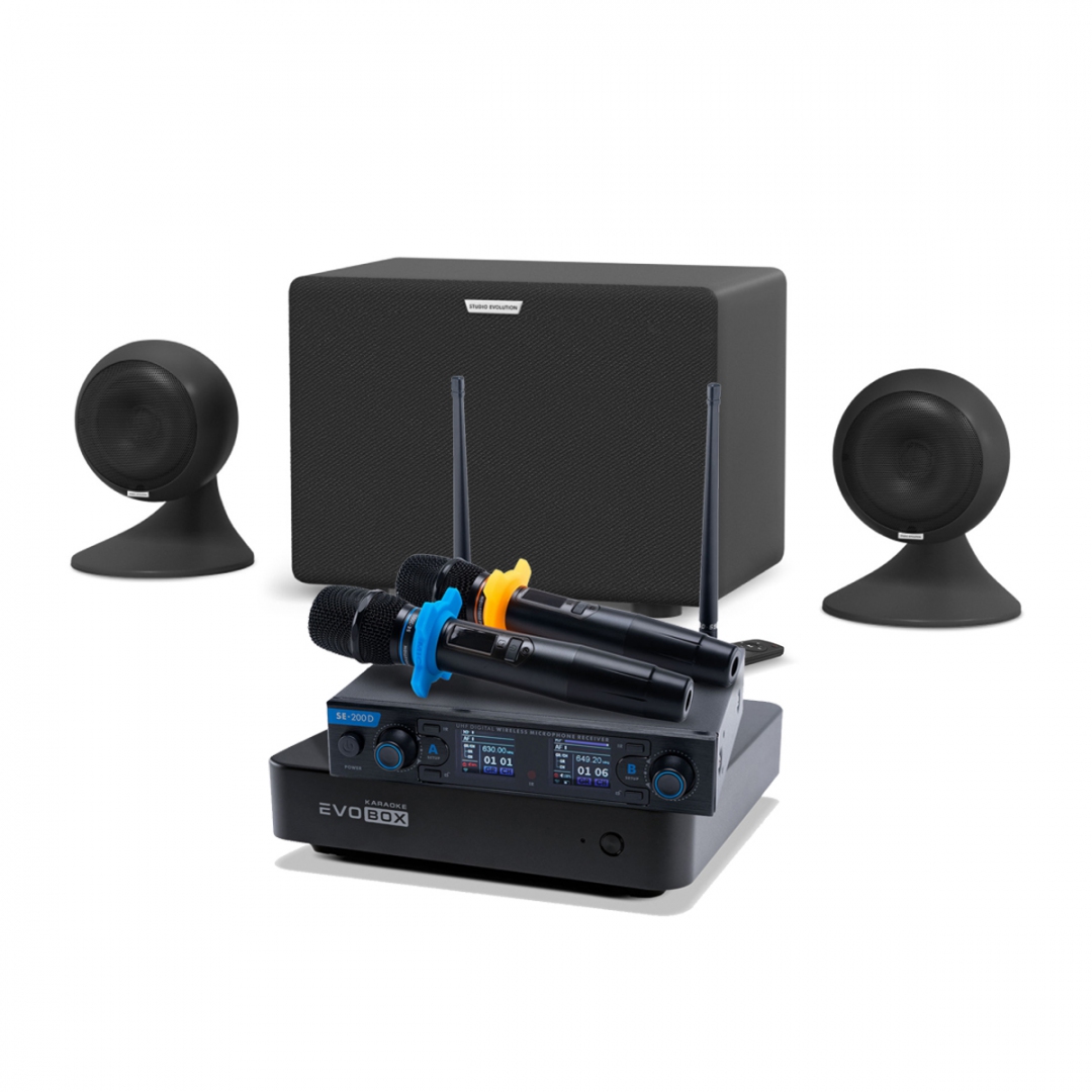 караоке-комплект EVOBOX + EvoSound Sphere 2.1 в Ачинске
