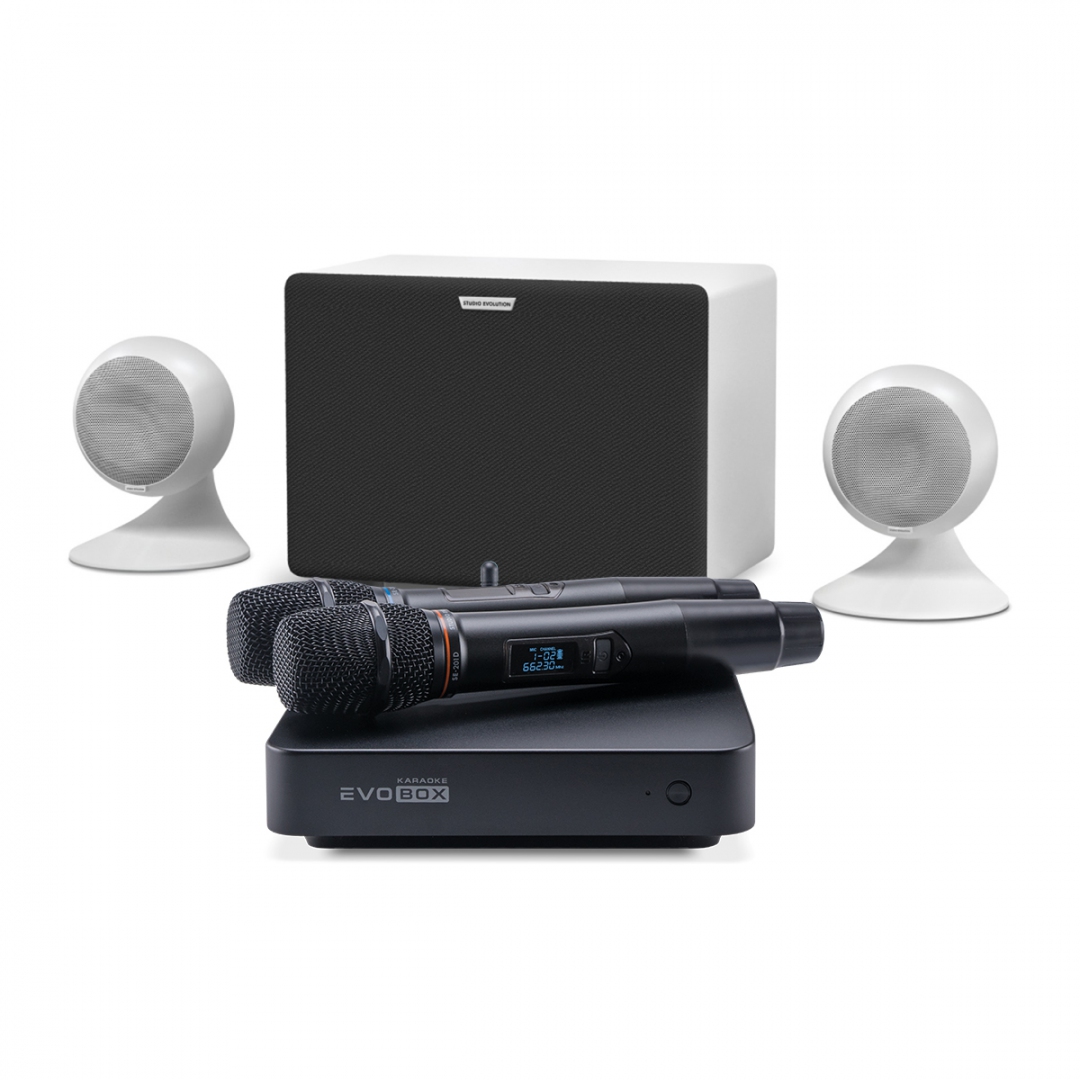 караоке-комплект EVOBOX Classic + EvoSound Sphere 2.1 в Ачинске