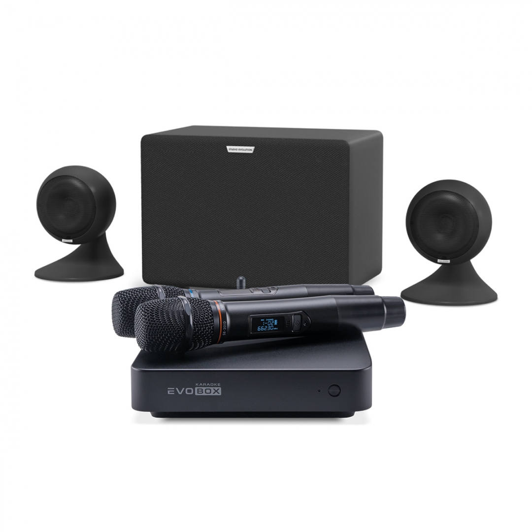 караоке-комплект EVOBOX Plus + EvoSound Sphere 2.1 в Ачинске