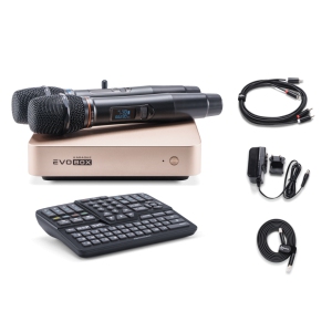 EVOBOX Classic караоке-система для дома в Ачинске