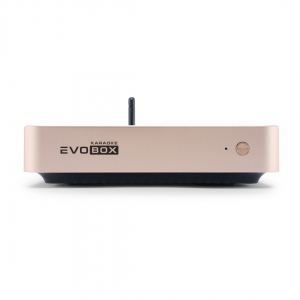 EVOBOX Plus караоке-система для дома в Ачинске
