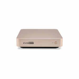 EVOBOX с микрофонами в Ачинске